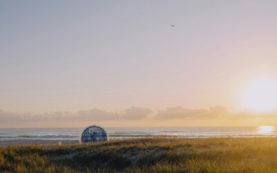 Theo Jansen “Strandbeest”